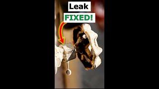 How To Fix Leaking Shut Off Valve DIY - Avoid Plumber