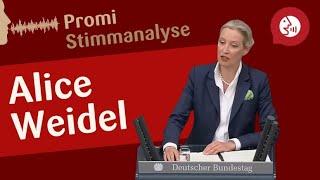 Alice Weidel - Stimmanalyse