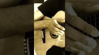 Fields of Gold #sting #acoustic #fingerstyle #guitar #instrumental