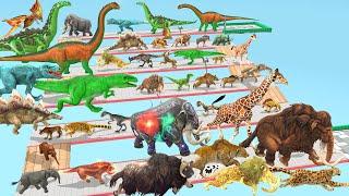 Which Animal vs Dinosaurs Speed Race Run Zigzag Down Course! from Outside Animal Revolt Battle Simul