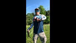 Getting it Done Fishing #fishing #bassfishing  #youtubeshorts #youtube #fish