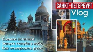 12. Питерская прогулка по центру