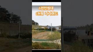 2억7천대가 6천만원대까지. 상세영상 제작소스클릭 #포항부동산 #귀농 #귀촌   #착한부동산