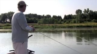 How to fish topwater lures: Rapala® How to Fish