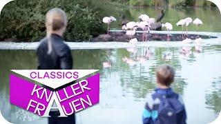 Warum sind Flamingos rosa? | Knallerfrauen mit Martina Hill