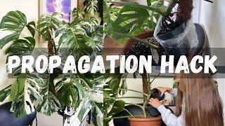 Propagation Hack | This is genius 