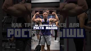 Как тренироваться для роста мышц? Тренировки на рост массы. ️ILUHAMAXX.RU
