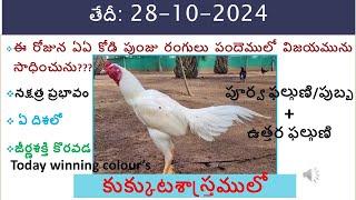 28 Oct 24 Today winning colours /Today winning colours/ vision of kukkuta sastram in colours update