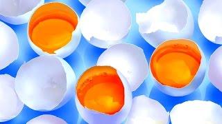 СОННИК - Значения сна про КУРИНЫЕ ЯЙЦА