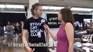 All For Animals TV - Meet Stray Cat Social Club