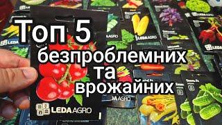 Невибагливі сорти Томатів  які завалять вас врожаєм