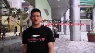 Introduction to Evolve MMA: Asia's Top Martial Arts Organization