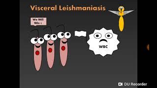 Introduction to Haemoflagellates & Visceral leishmaniasis سوطيات الدم والليشمانيا الحشوية