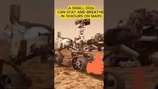NASA'S MOXIE SUCCESS MARS OXYGEN EXPERIMENT CLEAR PATH FOR HUMAN EXPLORATION. #youtubeshorts