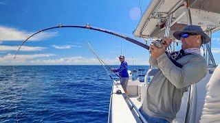 Catching MONSTER REEF Fish 70 MILES Offshore!