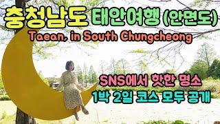 국내여행 태안 안면도 SNS 명소 ,1박2일 코스 모두공개(Taean, Anmyeondo)