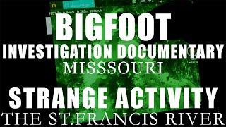 BIGFOOT INVESTIGATION DOCUMENTARY | A VERY ACTIVE AREA FOR BIGFOOT (ST.FRANCIS RIVER IN SOUTHERN MO)