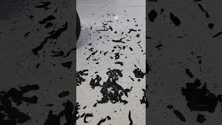 Race Car Prep - Removing Heavy Tire Clag!