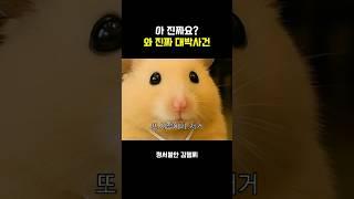 아진짜요? 그러쿠나 대박이다