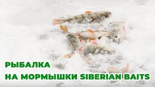 Рыбалка в коряжнике | Ловля окуня на безмотылку | Мормышки Siberian Baits