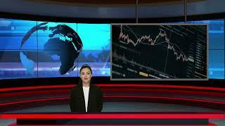 Dhaka Stock Exchange Today - 11 November 2024 | English | Daily Share Market News |