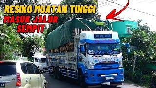 Resiko muatan tinggi masuk jalan sempit || Perjuangan sopir truk