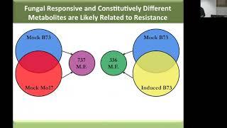 Simon Zhou: Identification of Cellular and Physiological Regulation of Maize Biochemical Defense...