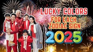 Lucky Color for Each Zodiac Sign in Year 2025 | Ziggy Natural