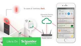 Exiway Light Activa-Link Integrated in Facility Expert Small Business | Schneider Electric