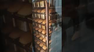 Revent 725 Baking bread Rack oven Revent 725 GAS #eduardoagroid #miwe #revent 725 Single Rack Oven