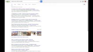 Seo success story: real case analysis