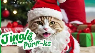  Festive Fun for All Pets at Petzone! 