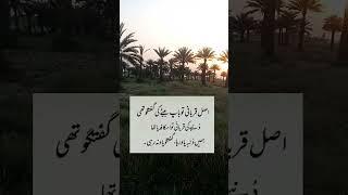 Qurbani