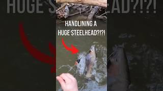 I had to HANDLINE a HUGE Steelhead Trout! #fishing #steelhead #troutfishing