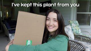 I Bought My New Favorite Plant | Part 1 The Unboxing