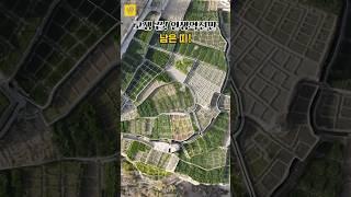 고생 끝 '인생역전'만 남은 띠  #오늘의운세 #풍수 #사주 #대박운세 #행운
