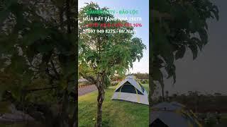 Sở hữu khu đất Dambri City với pháp lý rõ ràng, giấy tờ chính chủ và tiềm năng tăng giá trị cao