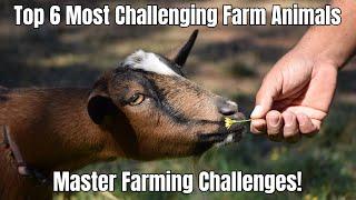 Top 6 Most Challenging Farm Animals to Raise