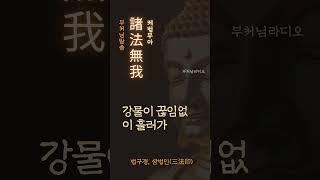 제법무아(諸法無我) | 부처님말씀 | 석가모니명언 | 인생지혜 | 명상의말씀