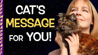 The SECRET SOUL MISSION Of Cats Is Revealed & More