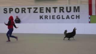 OEC DogDance 2016 FS 1st Place