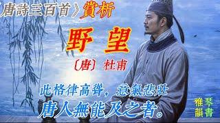 【古詩詞鑒賞】《唐詩三百首》| 杜甫 | 《野望》 | 七言律詩 | 寫景抒情詩 | Appreciation and Analysis of Chinese Poetry