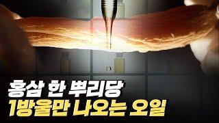 [핫클립] 홍삼을 다양한 제품으로 제작하는 기업 / YTN 사이언스