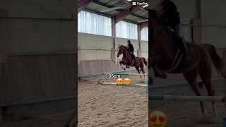 105cm #horse #equestrian #trend #trending #riding #jumping #horseriding #jumpinghorse #humour