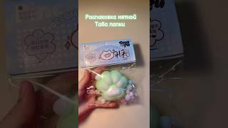 Распаковка новой таба лапки) #сквиши #таба #распаковка #обзор #топ #подпишись