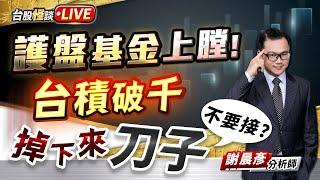 【護盤基金上膛! 台積破千 掉下來刀子不要接?】謝晨彥分析師 2025.03.04