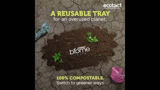 Ecotact Biome Tray  #ecotact #tray