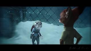 「𝒊 𝒎𝒊𝒔𝒔 𝒚𝒐𝒖 𝒎𝒐𝒓𝒆」| Judy x Nick