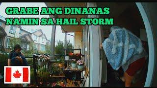 GRABE DINANAS NAMIN SA HAIL STORM |CALGARY, ALBERTA CANADA  |SUMMER |BUHAY SA CANADA