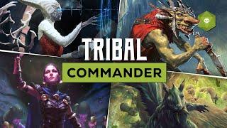 Joining Tribes, Ending Lives | Commander Gameplay (Varina, Krenko, Chatterfang, Inalla)